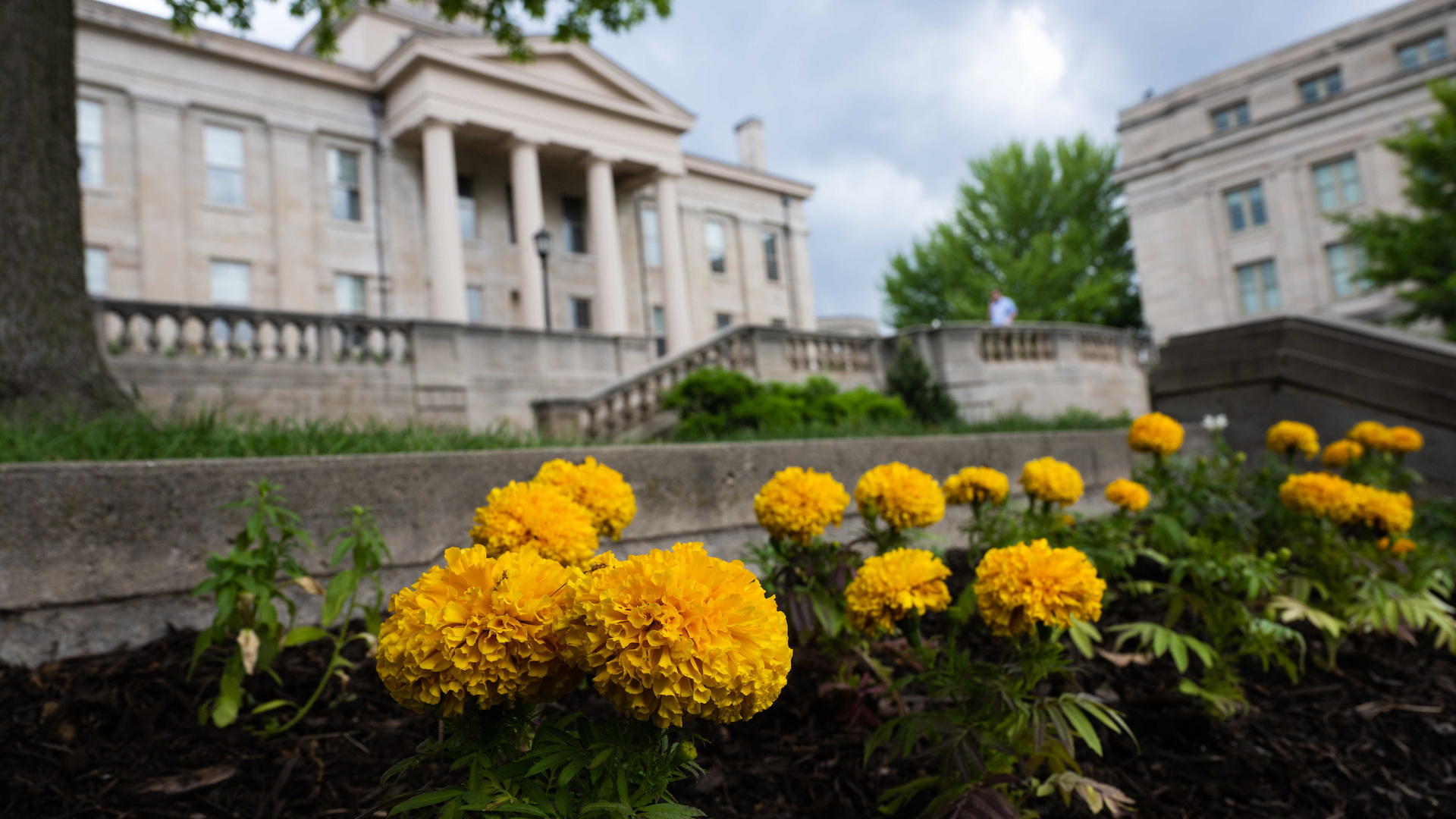 Diversity, Equity, And Inclusion | The University Of Iowa